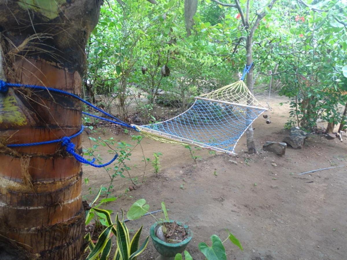 Sigiriya Camellia Home Stay Buitenkant foto