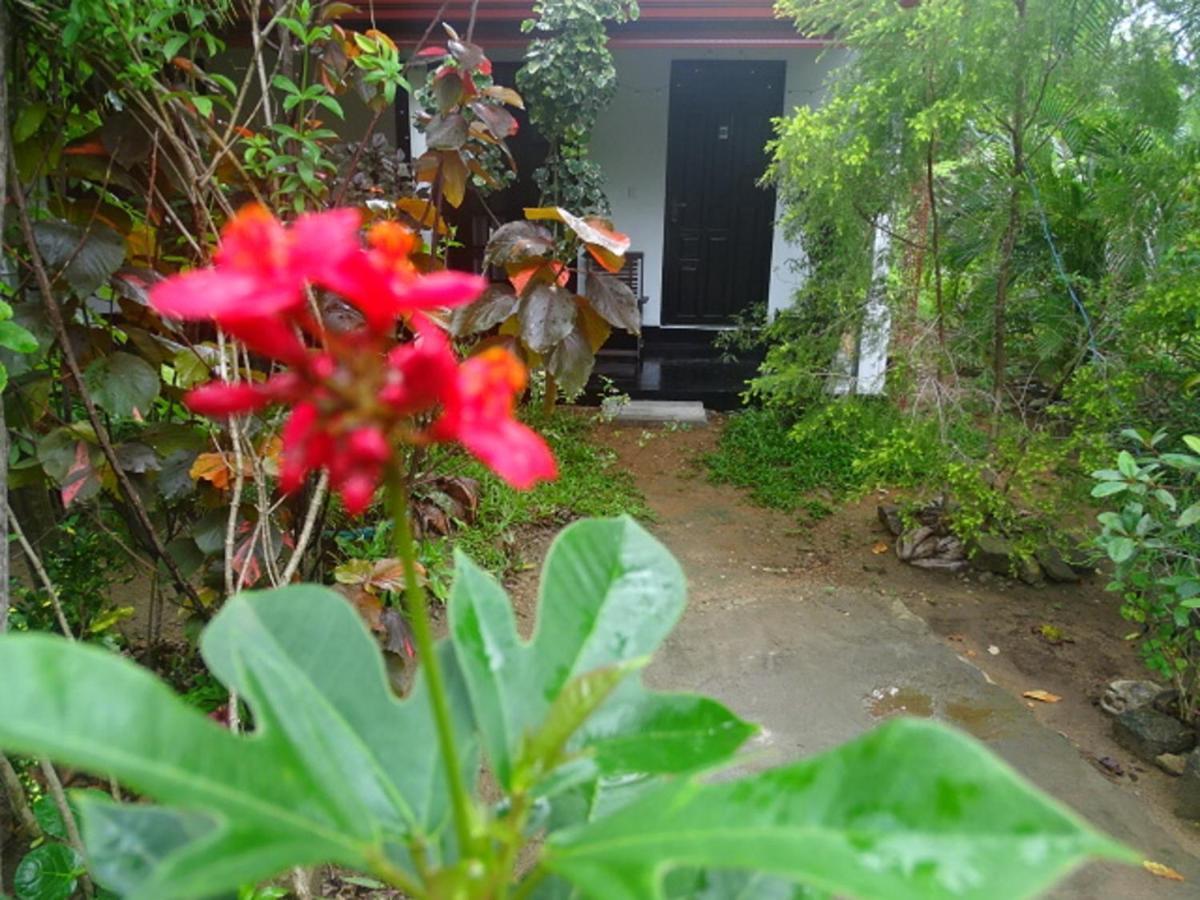 Sigiriya Camellia Home Stay Buitenkant foto